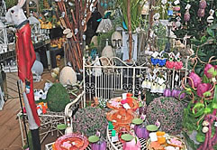Eine Reise in den Frühling bei Blumen Mallmann