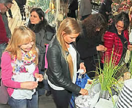 Frühlingserwachen März 2017